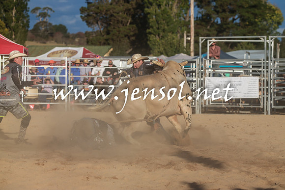 BraidwoodRodeo2016_5348