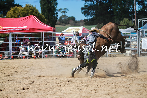 BraidwoodRodeo2016_3009