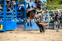 BraidwoodRodeo2016_1839