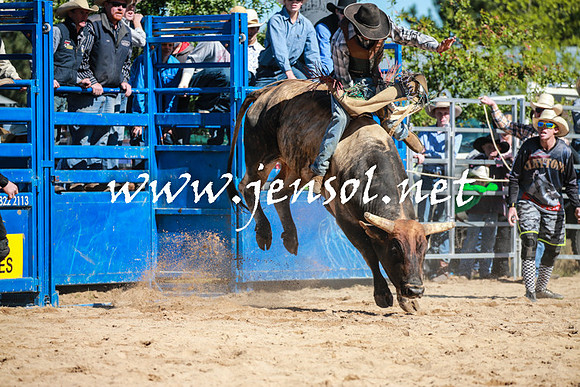 BraidwoodRodeo2016_1839