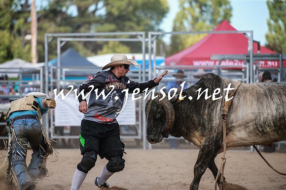 BraidwoodRodeo2016_3490