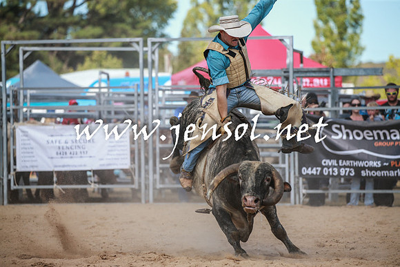 BraidwoodRodeo2016_3468