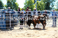 BraidwoodRodeo2016_2743