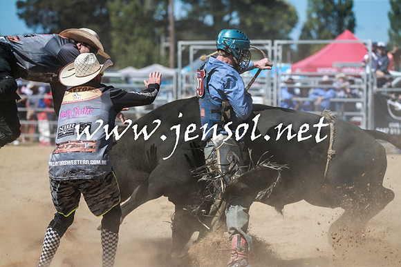 BraidwoodRodeo2016_3042