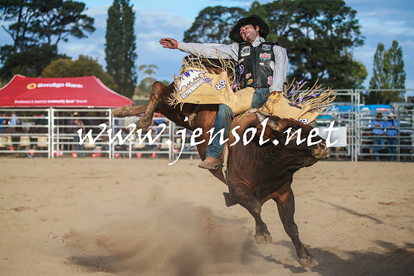 BraidwoodRodeo2016_5211