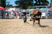 BraidwoodRodeo2016_3011