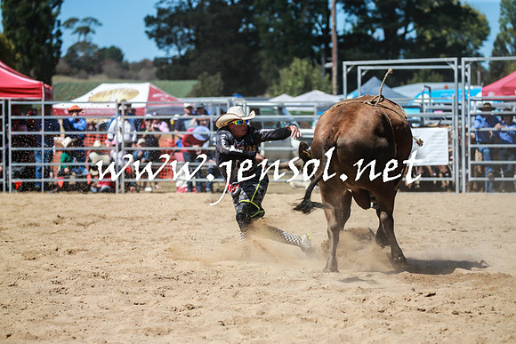 BraidwoodRodeo2016_3011