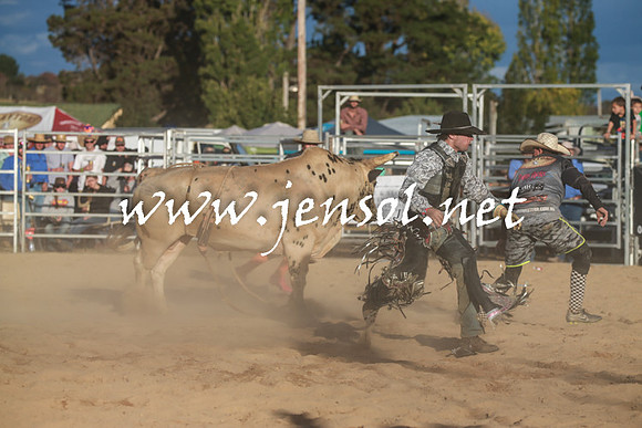 BraidwoodRodeo2016_5351