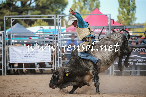 BraidwoodRodeo2016_3456