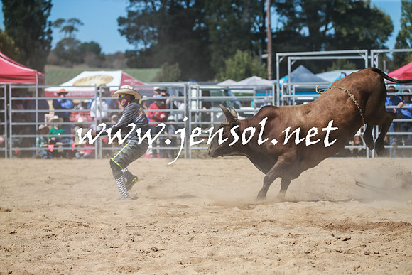 BraidwoodRodeo2016_3021
