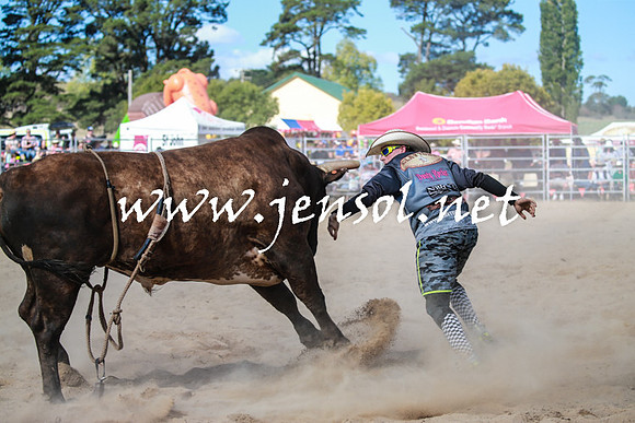 BraidwoodRodeo2016_3705