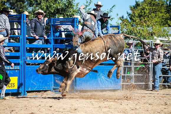 BraidwoodRodeo2016_1817