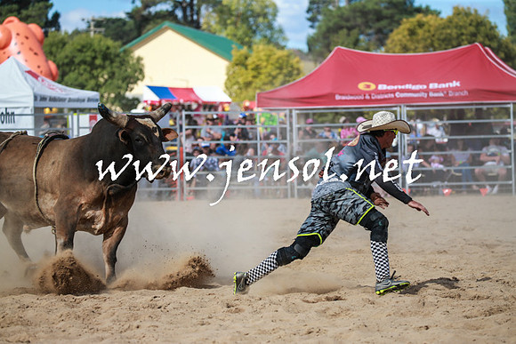 BraidwoodRodeo2016_3560