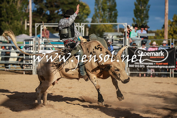 BraidwoodRodeo2016_5287