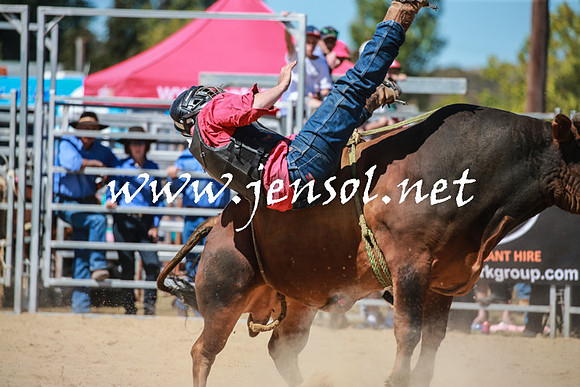 BraidwoodRodeo2016_3073
