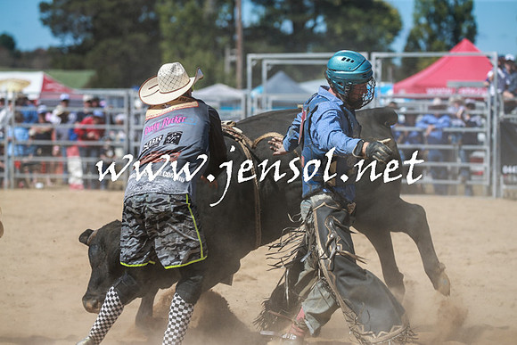 BraidwoodRodeo2016_3039