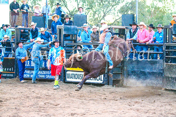 CoonambleRodeoCampdraftSun_5547