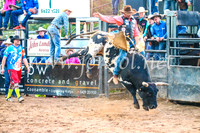 CoonambleRodeoCampdraftSun_5145