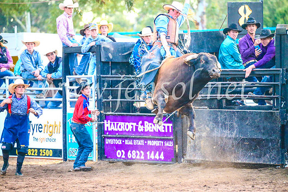 CoonambleRodeoCampdraftSun_5408