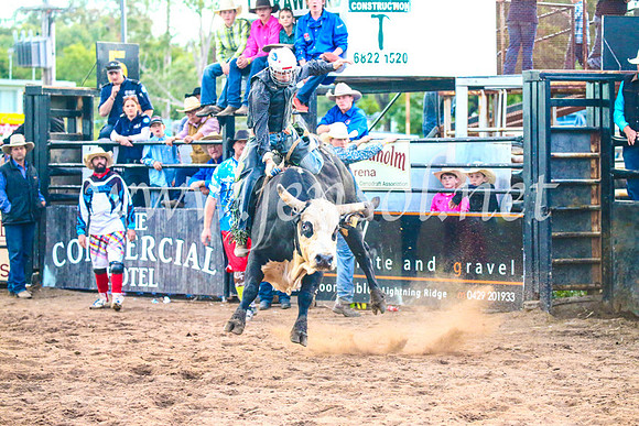 CoonambleRodeoCampdraftSun_5198
