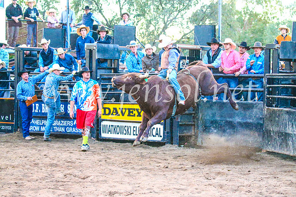 CoonambleRodeoCampdraftSun_5548