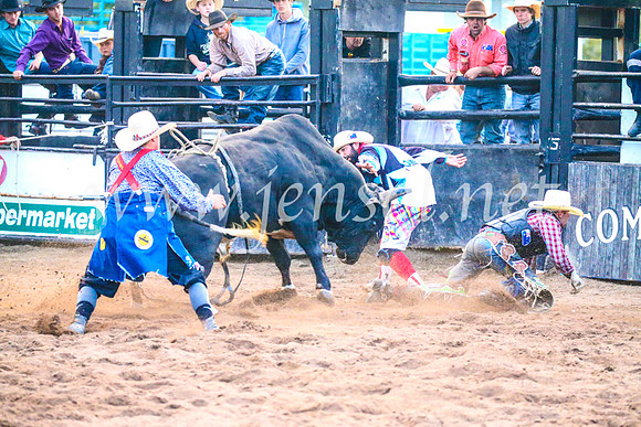 CoonambleRodeoCampdraftSun_5476