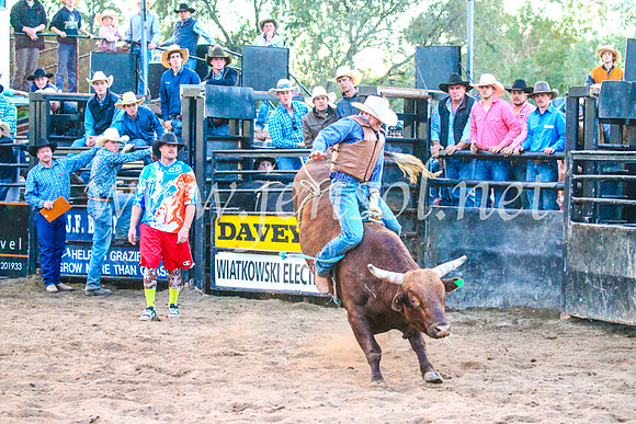 CoonambleRodeoCampdraftSun_5557