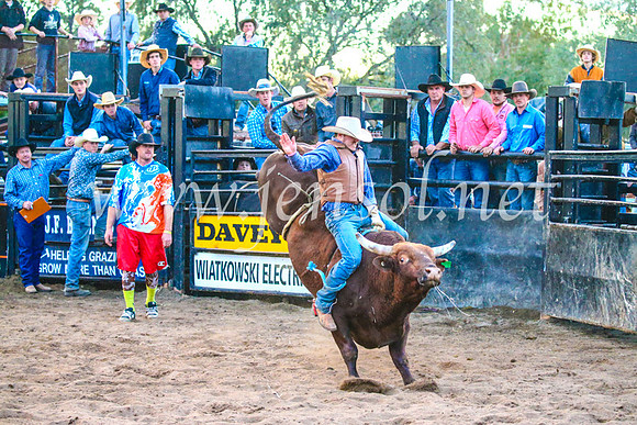 CoonambleRodeoCampdraftSun_5559