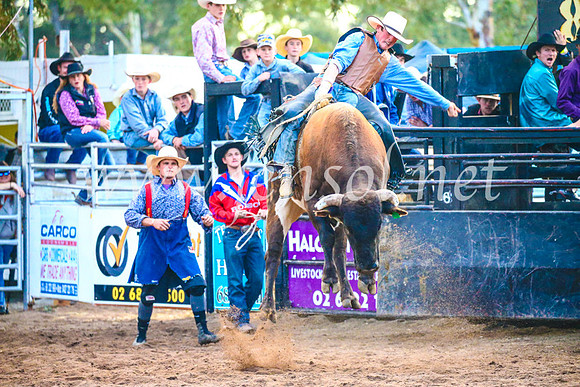 CoonambleRodeoCampdraftSun_5417