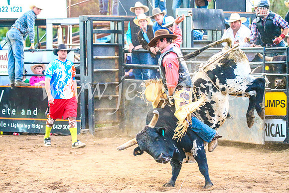 CoonambleRodeoCampdraftSun_5179