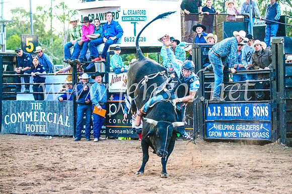 CoonambleRodeoCampdraftSun_5537