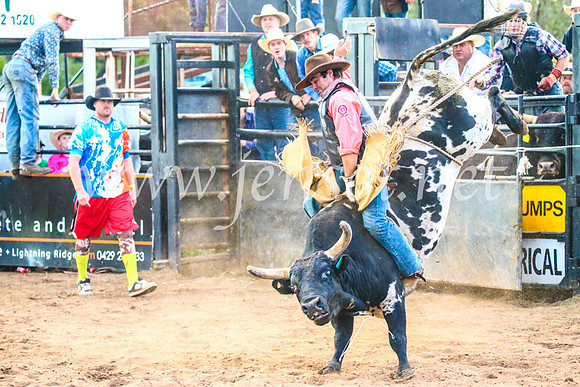 CoonambleRodeoCampdraftSun_5178