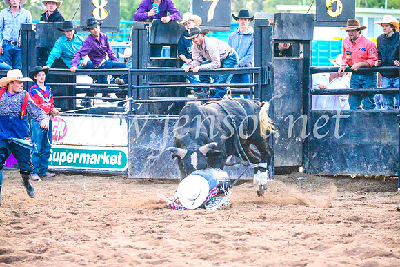 CoonambleRodeoCampdraftSun_5463