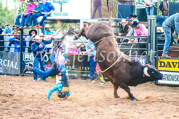 CoonambleRodeoCampdraftSun_5291