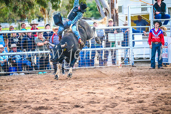 CoonambleRodeoCampdraftSun_5343