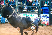 CoonambleRodeoCampdraftSun_5229