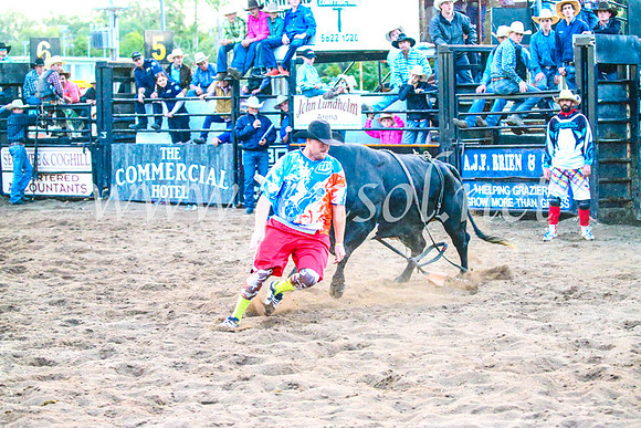 CoonambleRodeoCampdraftSun_5677