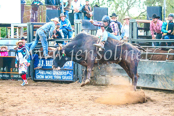 CoonambleRodeoCampdraftSun_5260