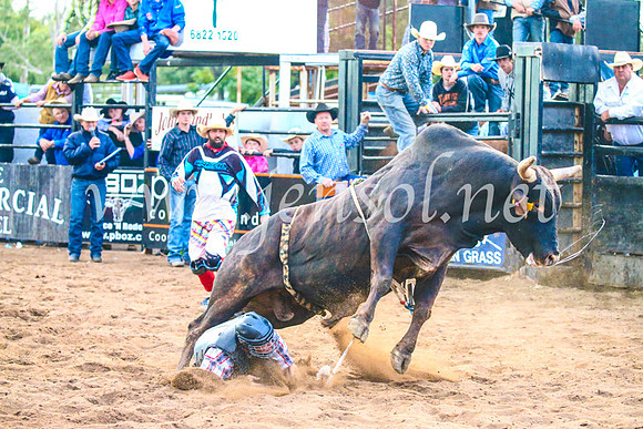 CoonambleRodeoCampdraftSun_5266