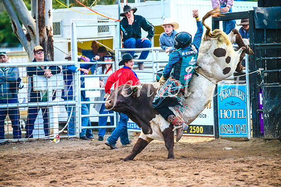 CoonambleRodeoCampdraftSun_5389