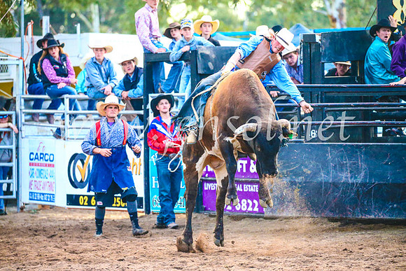 CoonambleRodeoCampdraftSun_5402