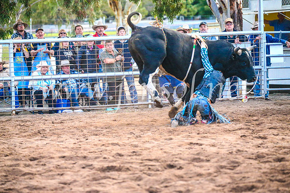 CoonambleRodeoCampdraftSun_5351
