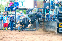 CoonambleRodeoCampdraftSun_5194