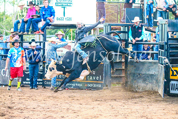 CoonambleRodeoCampdraftSun_5194