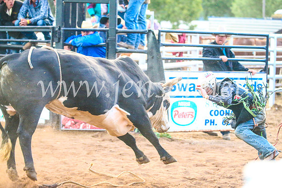 CoonambleRodeoCampdraftSun_5222