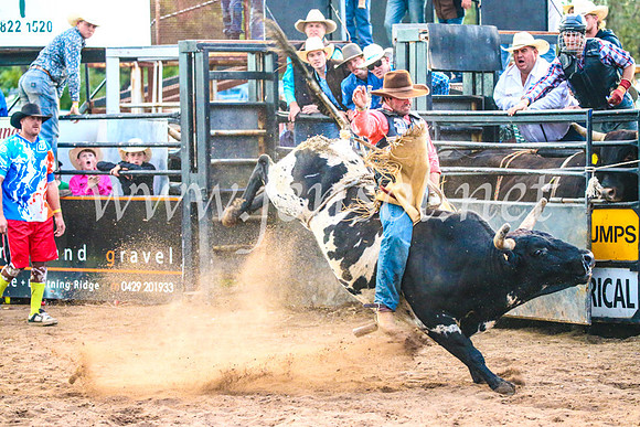 CoonambleRodeoCampdraftSun_5156