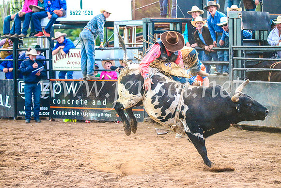 CoonambleRodeoCampdraftSun_5189