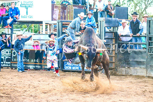 CoonambleRodeoCampdraftSun_5267