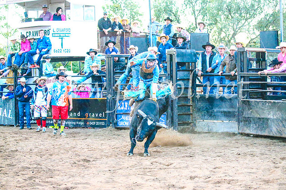 CoonambleRodeoCampdraftSun_5645
