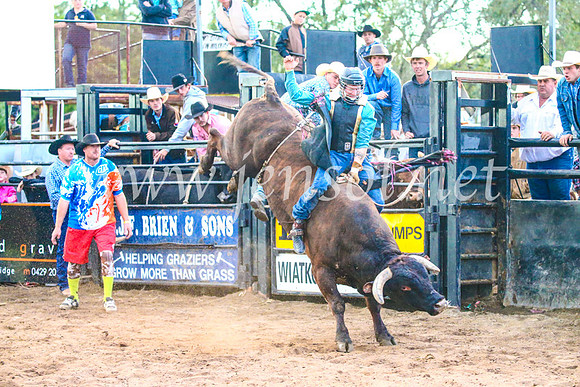 CoonambleRodeoCampdraftSun_5277